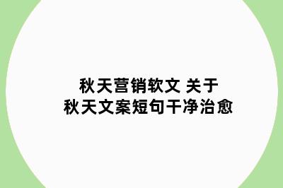 秋天营销软文 关于秋天文案短句干净治愈